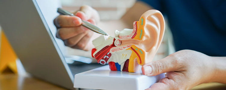 ENT Doctor In Siliguri